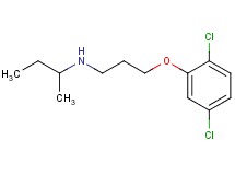 N-[3-(2,5-dichlorophenoxy)propyl]-2-butanamine oxalate