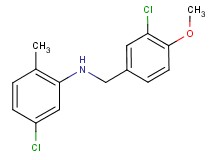 (3-chloro-4-methoxybenzyl)(5-chloro-2-methylphenyl)amine