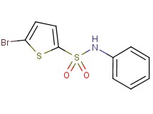 5-bromo-N-phenyl-2-thiophenesulfonamide