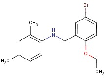 (5-bromo-2-ethoxybenzyl)(2,4-dimethylphenyl)amine