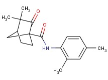 N-(2,4-dimethylphenyl)-3,3-dimethyl-2-oxobicyclo[2.2.1]heptane-1-carboxamide