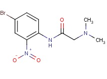 N~1~-(4-bromo-2-nitrophenyl)-N~2~,N~2~-dimethylglycinamide