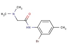N~1~-(2-bromo-4-methylphenyl)-N~2~,N~2~-dimethylglycinamide