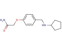 2-{4-[(cyclopentylamino)methyl]phenoxy}acetamide