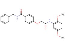 N-benzyl-4-{2-[(2,5-dimethoxyphenyl)amino]-2-oxoethoxy}benzamide