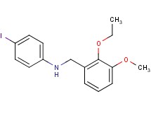 (2-ethoxy-3-methoxybenzyl)(4-iodophenyl)amine