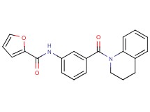 N-[3-(3,4-dihydro-1(2H)-quinolinylcarbonyl)phenyl]-2-furamide