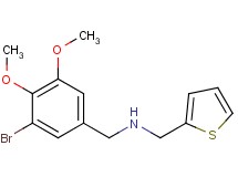 (3-bromo-4,5-dimethoxybenzyl)(2-thienylmethyl)amine hydrochloride