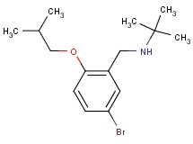 N-(5-bromo-2-isobutoxybenzyl)-2-methyl-2-propanamine hydrochloride