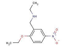 N-(2-ethoxy-5-nitrobenzyl)ethanamine hydrochloride