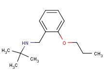 tert-butyl(2-propoxybenzyl)amine hydrochloride
