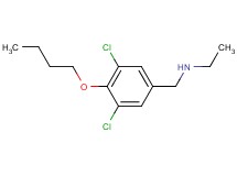N-(4-butoxy-3,5-dichlorobenzyl)ethanamine hydrochloride