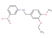 (3-ethoxy-4-methoxybenzyl)(3-nitrophenyl)amine