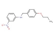 (3-nitrophenyl)(4-propoxybenzyl)amine