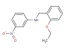 (2-ethoxybenzyl)(3-nitrophenyl)amine