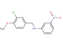 (3-chloro-4-methoxybenzyl)(3-nitrophenyl)amine