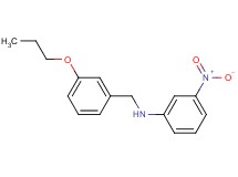 (3-nitrophenyl)(3-propoxybenzyl)amine