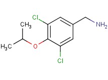 (3,5-dichloro-4-isopropoxybenzyl)amine hydrochloride