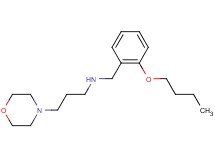 N-(2-butoxybenzyl)-3-(4-morpholinyl)-1-propanamine hydrochloride