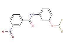 N-[3-(difluoromethoxy)phenyl]-3-nitrobenzamide