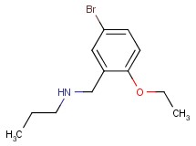 N-(5-bromo-2-ethoxybenzyl)-1-propanamine hydrochloride