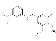 (3-chloro-4,5-dimethoxybenzyl)(3-nitrophenyl)amine