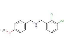 (2,3-dichlorobenzyl)(4-methoxybenzyl)amine hydrochloride