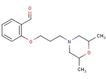 2-[3-(2,6-dimethylmorpholin-4-yl)propoxy]benzaldehyde hydrochloride