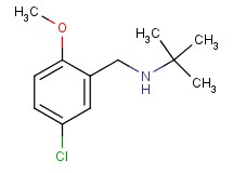 N-(5-chloro-2-methoxybenzyl)-2-methyl-2-propanamine hydrochloride