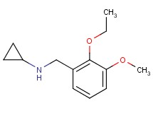N-(2-ethoxy-3-methoxybenzyl)cyclopropanamine hydrochloride