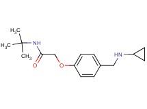 N-(tert-butyl)-2-{4-[(cyclopropylamino)methyl]phenoxy}acetamide hydrochloride