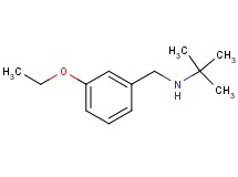 N-(3-ethoxybenzyl)-2-methyl-2-propanamine hydrochloride