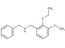 N-benzyl-1-(2-ethoxy-3-methoxyphenyl)methanamine hydrochloride