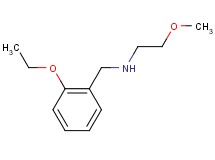 N-(2-ethoxybenzyl)-2-methoxyethanamine hydrochloride