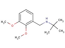 N-(2,3-dimethoxybenzyl)-2-methyl-2-propanamine hydrochloride