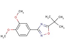 5-tert-butyl-3-(3,4-dimethoxyphenyl)-1,2,4-oxadiazole