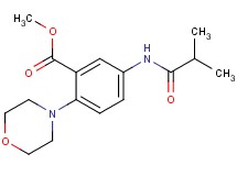 methyl 5-(isobutyrylamino)-2-(4-morpholinyl)benzoate