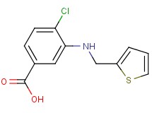 4-chloro-3-[(2-thienylmethyl)amino]benzoic acid