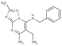 N-benzyl-6-ethyl-2,5-dimethyl[1,2,4]triazolo[1,5-a]pyrimidin-7-amine