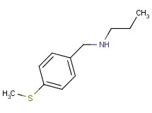 N-[4-(methylthio)benzyl]-1-propanamine hydrochloride