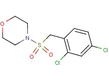 4-[(2,4-dichlorobenzyl)sulfonyl]morpholine