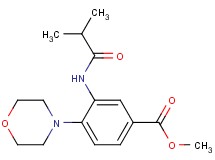 methyl 3-(isobutyrylamino)-4-(4-morpholinyl)benzoate