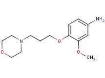 3-methoxy-4-[3-(4-morpholinyl)propoxy]aniline