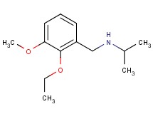 N-(2-ethoxy-3-methoxybenzyl)propan-2-amine hydrochloride