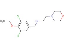 N-(3,5-dichloro-4-ethoxybenzyl)-2-morpholin-4-ylethanamine dihydrochloride