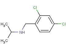 N-(2,4-dichlorobenzyl)propan-2-amine hydrochloride