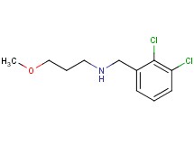 N-(2,3-dichlorobenzyl)-3-methoxy-1-propanamine hydrochloride