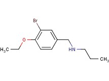 N-(3-bromo-4-ethoxybenzyl)propan-1-amine hydrochloride