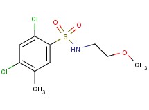 2,4-dichloro-N-(2-methoxyethyl)-5-methylbenzenesulfonamide