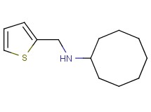 N-(2-thienylmethyl)cyclooctanamine hydrochloride